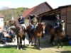 2008 Buetschwil P5030925 1