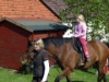 2008 Buetschwil P5030926 1