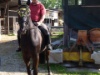 2008 Buetschwil P5041049 1