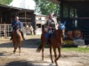 2008 Buetschwil P5041054 1