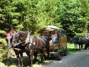 2011-Schweiz013.jpg