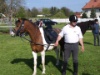 2008 Buetschwil P5030715 1