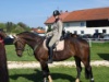 2008 Buetschwil P5030750 1