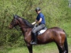 2008 Buetschwil P5030773 1