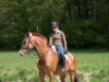 2008 Buetschwil P5030780 1